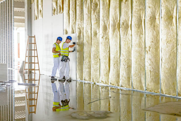 Best Wall Insulation Installation  in Queen Anne, MD